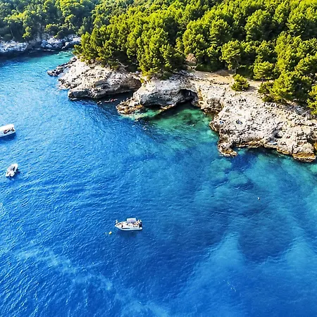 Ein Im Zweirosen By Interhome * 法扎纳